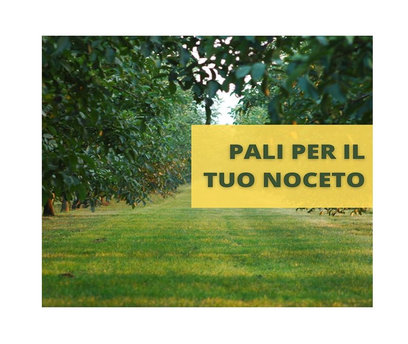 PALI PER NOCETI